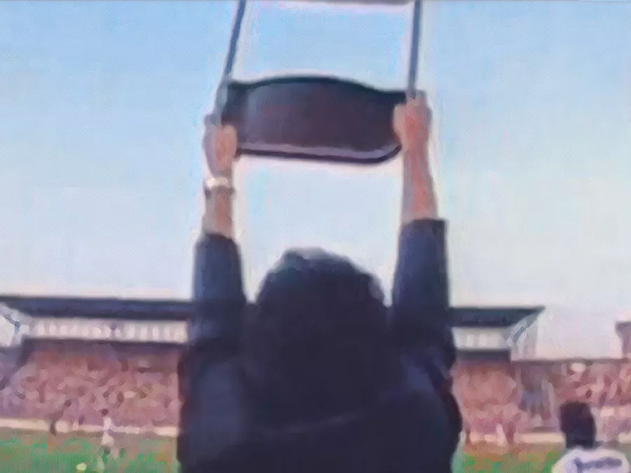 Mondonico sedia al cielo - Illustrazione Tacchetti di Provincia