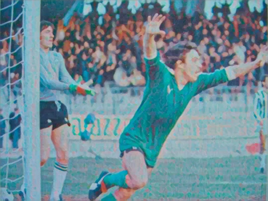 I giocatori dell'Avellino esultano sul campo dello stadio Partenio nel 1978