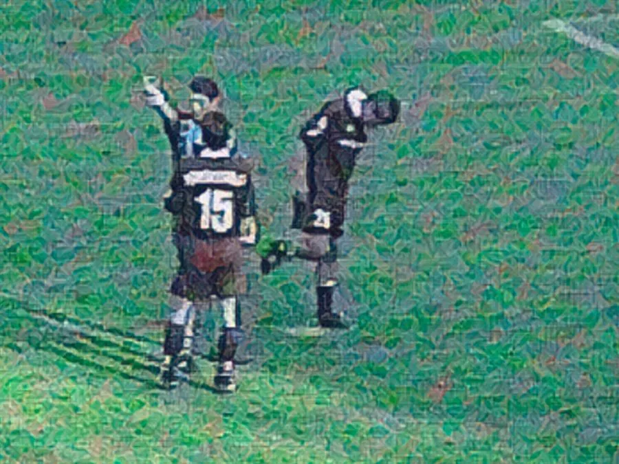 Il campo del Delle Alpi durante il derby della Mole tra Juventus e Torino del 2001